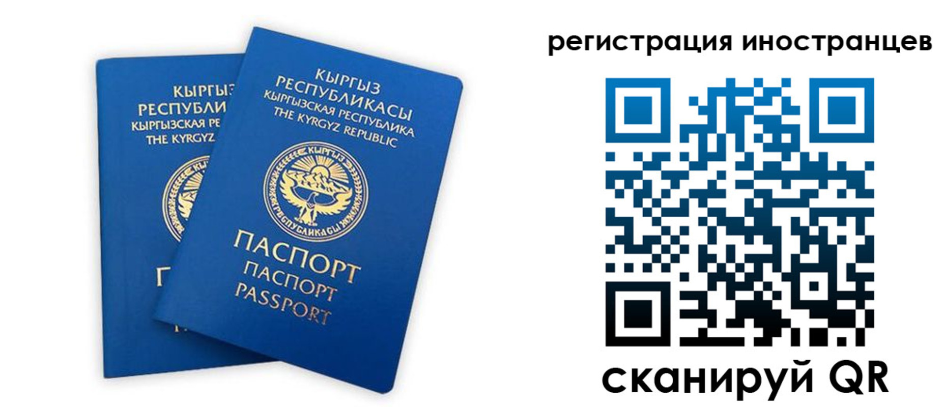 где прописаться в Бийске
